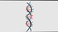 ستاد فرهنگسازی اقتصاد دانش بنیان  First Patient Receives Higher Dose of FLT190, Freeline’s Gene Therapy