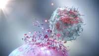 ستاد فرهنگسازی اقتصاد دانش بنیان New Strategy May Improve T-Cell Therapy in Solid Tumors