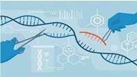 ستاد فرهنگسازی اقتصاد دانش بنیان New research writes the rules on CRISPR activation 