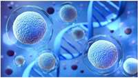 ستاد فرهنگسازی اقتصاد دانش بنیان FDA Approves Cell Therapy for Patients with Blood Cancers to Reduce Risk of Infection Following Stem Cell Transplantation