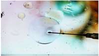 ستاد فرهنگسازی اقتصاد دانش بنیان Wiping stem cells 'clean' could make them easier to produce