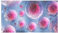 ستاد فرهنگسازی اقتصاد دانش بنیان CAR T-Cell Therapy Shown Safe, Effective in MCL With CNS Involvement