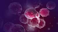 ستاد فرهنگسازی اقتصاد دانش بنیان The advantages of gamma-delta T-cell therapy