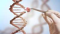 ستاد فرهنگسازی اقتصاد دانش بنیان CRISPR gene therapies: Is 2023 a milestone year in the making