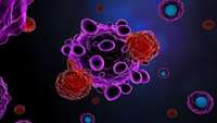 ستاد فرهنگسازی اقتصاد دانش بنیان  CAR T cell therapy may eliminate tumor cells missed by surgery