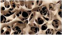 ستاد فرهنگسازی اقتصاد دانش بنیان Scaffold that regenerates bone could replace metallic implants