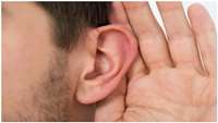 ستاد فرهنگسازی اقتصاد دانش بنیان Researchers move closer to gene therapy solution for hearing loss