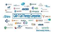 ستاد فرهنگسازی اقتصاد دانش بنیان Global Database of CAR-T Cell Therapy Companies, 2023