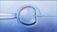 ستاد فرهنگسازی اقتصاد دانش بنیان First UK baby with DNA from three people born after new IVF procedure