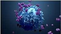 ستاد فرهنگسازی اقتصاد دانش بنیان Cancer Immunotherapy Market 2023: Progress, Potential, and Breakthroughs