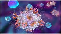 ستاد فرهنگسازی اقتصاد دانش بنیان New CAR T cell therapy approach minimizes severe side effects