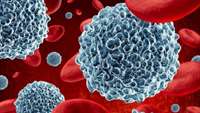 ستاد فرهنگسازی اقتصاد دانش بنیان New immune defenders added to blood cell