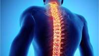 ستاد فرهنگسازی اقتصاد دانش بنیان Clinical trial of stem cell therapy to repair spinal cord injuries brings promises 