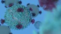 ستاد فرهنگسازی اقتصاد دانش بنیان Cancer breakthrough as scientists supercharge an immune cell that could be mass-produced to be used in revolutionary new treatment