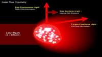 ستاد فرهنگسازی اقتصاد دانش بنیان   Holding the Flow Cytometry and Its Application in Stem Cells Workshop