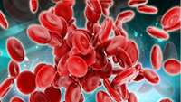 ستاد فرهنگسازی اقتصاد دانش بنیان Engineering Red Blood Cells to Fight the Most Severe Cancers