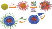 ستاد فرهنگسازی اقتصاد دانش بنیان CRISPR-based Genome Editing via Non-Viral Delivery