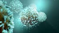 ستاد فرهنگسازی اقتصاد دانش بنیان Harnessing T-cell stemness could enhance cancer immunotherapy