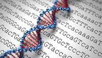 ستاد فرهنگسازی اقتصاد دانش بنیان Tiny DNA modification has big impact on deadly tumors