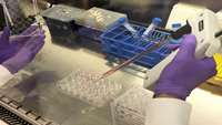 ستاد فرهنگسازی اقتصاد دانش بنیان Lab-made “mini organs” helping doctors treat cystic fibrosis