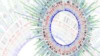 ستاد فرهنگسازی اقتصاد دانش بنیان Scientists generate an atlas of the human genome using stem cells