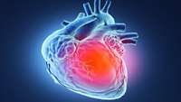 ستاد فرهنگسازی اقتصاد دانش بنیان Potential new treatment for heart attack