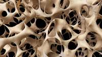 ستاد فرهنگسازی اقتصاد دانش بنیان Citrate-based biomaterial fuels bone healing with less rejection