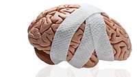 ستاد فرهنگسازی اقتصاد دانش بنیان UGA researchers simulate traumatic brain injuries in lab