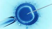 ستاد فرهنگسازی اقتصاد دانش بنیان No developmental differences in children conceived via assisted reproductive technology