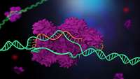 ستاد فرهنگسازی اقتصاد دانش بنیان CRISPR Gene Editing Will Be Used Inside Humans For the First Time in Treatment for Blindness