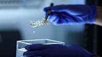 ستاد فرهنگسازی اقتصاد دانش بنیان German scientists create see-through human organs