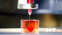 ستاد فرهنگسازی اقتصاد دانش بنیان Scientists print first 3D heart using a patient’s own cells