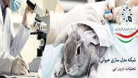 ستاد فرهنگسازی اقتصاد دانش بنیان Launching of First National Network for Animals Modeling and In-vivo Research in Iran