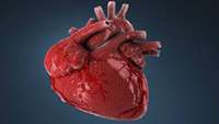 ستاد فرهنگسازی اقتصاد دانش بنیان One-off genetic test could detect heart attack risk