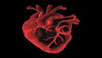 ستاد فرهنگسازی اقتصاد دانش بنیان Can stem cells help a diseased heart heal itself? Researchers achieve important milestone