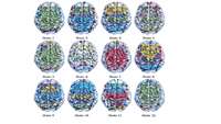 ستاد فرهنگسازی اقتصاد دانش بنیان Pinpointed: 12 hidden states of brain