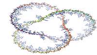 ستاد فرهنگسازی اقتصاد دانش بنیان Single-cell topological RNA-seq analysis reveals insights into cellular differentiation and development