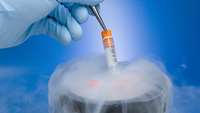 ستاد فرهنگسازی اقتصاد دانش بنیان Frozen embryos result in just as many live births in IVF