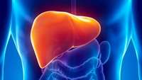 ستاد فرهنگسازی اقتصاد دانش بنیان Treating liver failure with stem cell-derived liver cells in the future 