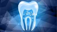 ستاد فرهنگسازی اقتصاد دانش بنیان Stem cells and more: How dentists of the future may fix your teeth