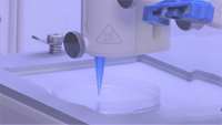 ستاد فرهنگسازی اقتصاد دانش بنیان Living skin can now be 3D-printed with blood vessels included