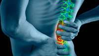 ستاد فرهنگسازی اقتصاد دانش بنیان Regenerative medicine technology targets cause of low back pain