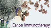 ستاد فرهنگسازی اقتصاد دانش بنیان Cancer Immunotherapy: Whence and Whither