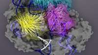 ستاد فرهنگسازی اقتصاد دانش بنیان Discovery helps improve accuracy of CRISPR-Cas9 gene editing