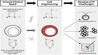 ستاد فرهنگسازی اقتصاد دانش بنیان Achieving Efficient Manufacturing and Quality Assurance through Synthetic Cell Therapy Design