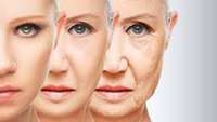 ستاد فرهنگسازی اقتصاد دانش بنیان  12 Amazing Anti-Aging Startups Chasing Eternal Youth