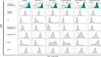 ستاد فرهنگسازی اقتصاد دانش بنیان HLA and Histo-Blood Group Antigen Expression in Human Pluripotent Stem Cells and their Derivatives