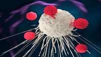 ستاد فرهنگسازی اقتصاد دانش بنیان What’s Next For CAR T: The Potential of Engineering Immune Cells to Treat Cancer