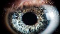 ستاد فرهنگسازی اقتصاد دانش بنیان Scientists in China regenerate lens in human eye