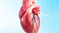 ستاد فرهنگسازی اقتصاد دانش بنیان Study maps molecular mechanisms crucial for new approach to heart disease therapy